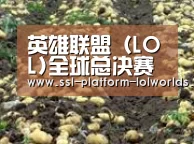 种植基地八(图1)