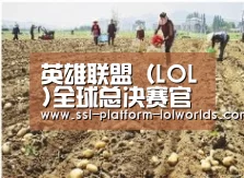 种植基地一