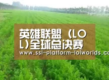 种植基地四