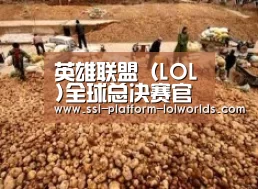 种植基地二
