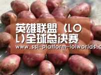 产品展示标题5