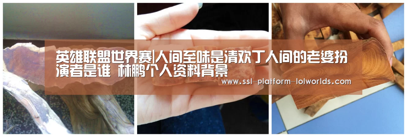 英雄联盟世界赛|人间至味是清欢丁人间的老婆扮演者是谁 林鹏个人资料背景(图2) 全球总决赛官网