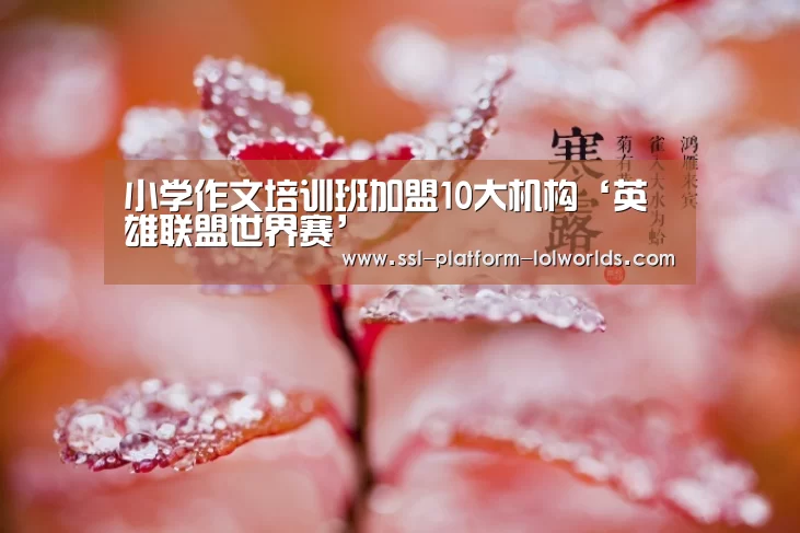 小学作文培训班加盟10大机构‘英雄联盟世界赛’(图4) 英雄联盟世界赛